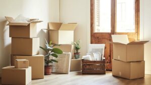 Packers and Movers Austin Town Bangalore