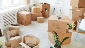 Packers and Movers Banaswadi Bangalore