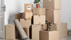 Packers and Movers Begur