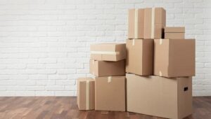 Packers and Movers Bellandur