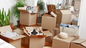 Packers and Movers Benson Town Bangalore