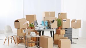 Packers and Movers Bommanahalli Bangalore