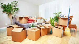 Packers and Movers Brookefield Bangalore