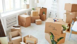 Packers and Movers BTM Layout Bangalore