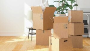 Packers and Movers Dollars Colony