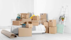 Packers and Movers Whitefield