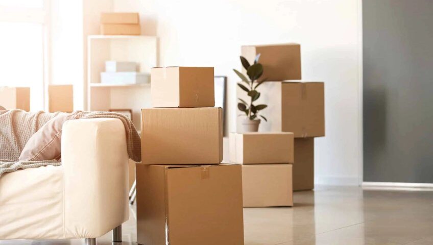 Best Packers and Movers In Bangalore