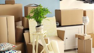 Packers and Movers Mysore