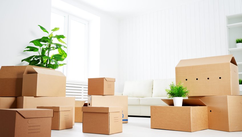 Local Packers and Movers Bangalore