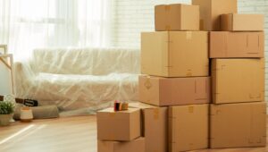 Packers and Movers From Bangalore to Allahabad