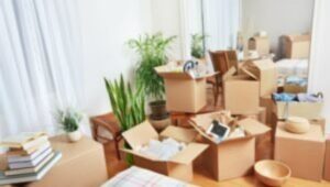 Packers and Movers From Bangalore To Ajmer