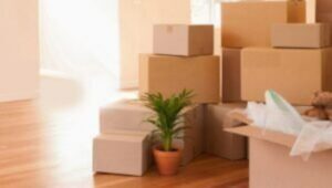 Packers and Movers From Bangalore To Guntur