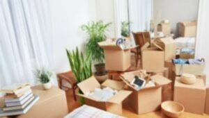 Packers and Movers From Bangalore to Muradabad