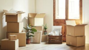 Packers and Movers From Bangalore to Srinagar