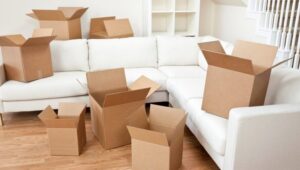 Packers and Movers Bhadravati