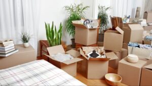 Packers and Movers Bidar