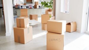 Packers and Movers Davangere
