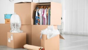 Packers and Movers Koppal