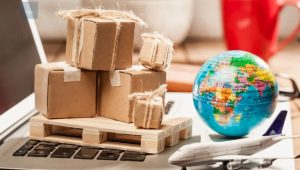 International Moving Service In Bangalore